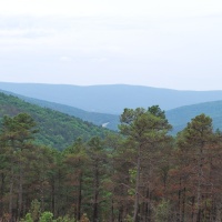 In the Area